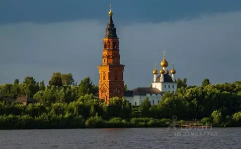 Участок в Ярославская область, Угличский муниципальный округ, с. ...