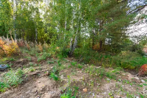 Участок в Свердловская область, Екатеринбург ул. Изоплитная, 23Л (10.0 ...