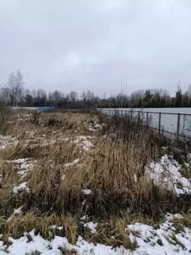 Участок, 6.5 сот., поселения (ижс)