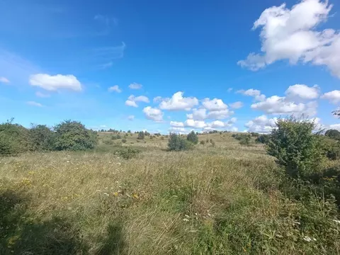 Участок в Калининградская область, Зеленоградский муниципальный округ, ...