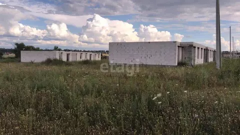 Офис в Белгородская область, Белгородский район, Дубовское с/пос, с. ...