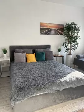 1-к кв. Калининградская область, Светлогорск Майский проезд, 4А (46.0 ...