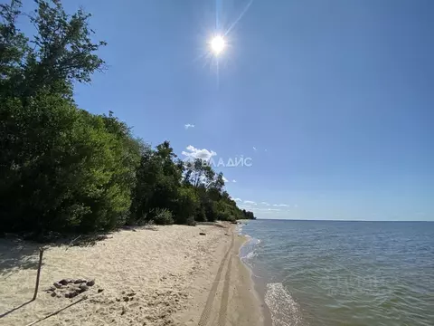 Участок в Ярославская область, Рыбинский муниципальный округ, д. ...