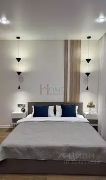 Студия Новосибирская область, Новосибирск ул. Гоголя, 222 (32.5 м)