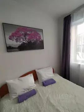 Студия Пермский край, Пермь ул. Академика Вавилова, 5 (17.0 м)