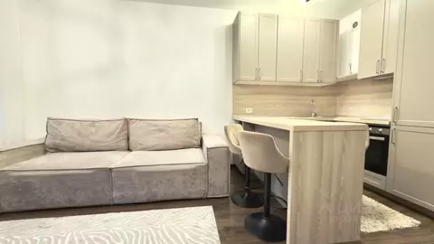 Студия Санкт-Петербург 26-я Васильевского острова линия, 7 (24.2 м)