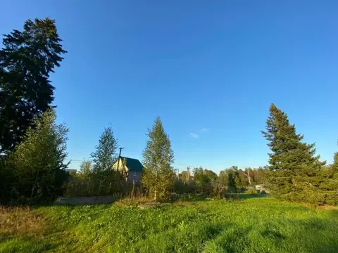 Участок в Ленинградская область, Приозерский район, Ларионовское ...