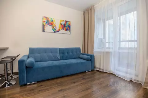 Студия Санкт-Петербург ул. Верхне-Каменская, 5 (24.4 м)