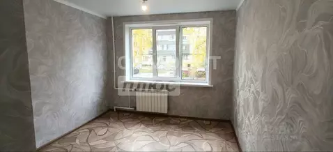 Студия Липецкая область, Липецк ул. Островского, 2 (14.0 м)