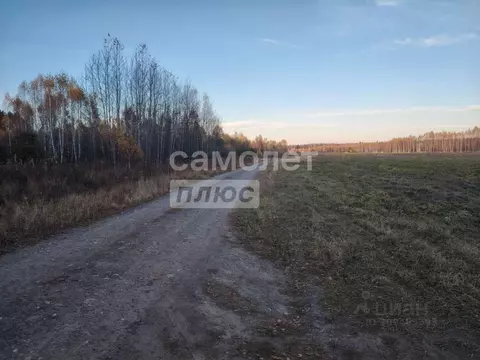 Участок в Тюменская область, Тюменский район, д. Чаплык Центральный ...