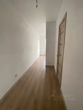 Студия Тверская область, Тверь ул. Медовая, 9к4 (20.0 м)