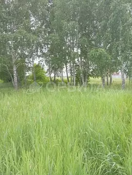 Участок в Тюменская область, Ялуторовский муниципальный округ, ...