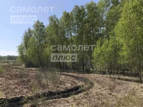 Участок в Тюменская область, Тюменский муниципальный округ, с. Кулига  ...