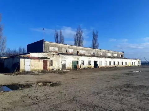 Производственное помещение в Краснодарский край, Темрюкский район, ...