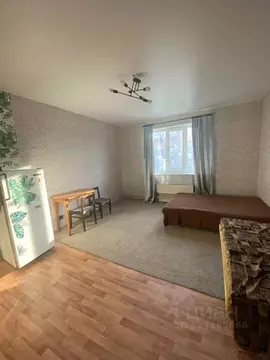 Студия Новосибирская область, Мошковский район, пос. Октябрьский ...