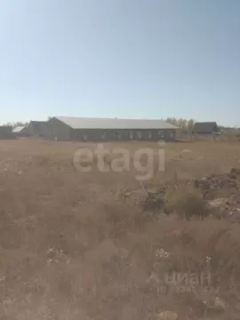 Помещение свободного назначения в Оренбургская область, Соль-Илецк ...