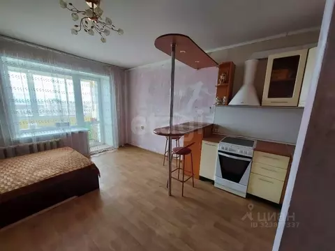 Студия Амурская область, Благовещенск Батарейная ул., 7 (26.4 м)