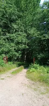 Участок в Ленинградская область, Выборгский район, Советское городское ...