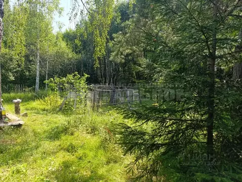 Участок в Смоленская область, Смоленск ул. Нижняя Дубровенка (5.15 ...