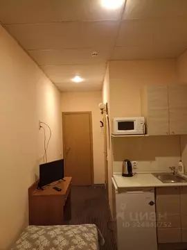 Студия Санкт-Петербург ул. Блохина, 4 (18.0 м)