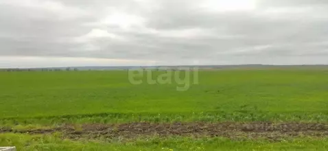 Участок в Крым, Ленинский район, Батальненское с/пос, с. Южное ул. ...