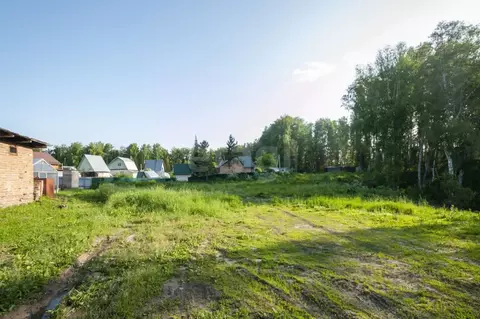 Участок в Новосибирская область, Новосибирский район, Барышевский ...