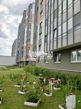 2-комнатная квартира: Санкт-Петербург, Муринская дорога, 11к1 (55.6 м)
