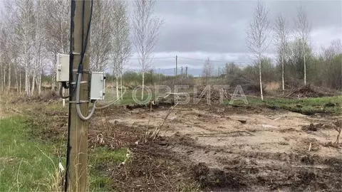 Участок в Тюменская область, Тюмень Садовое товарищество Липовый ...