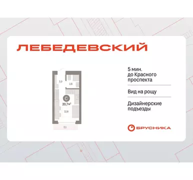Квартира-студия: Новосибирск, квартал Лебедевский, 1/3 (20.7 м)
