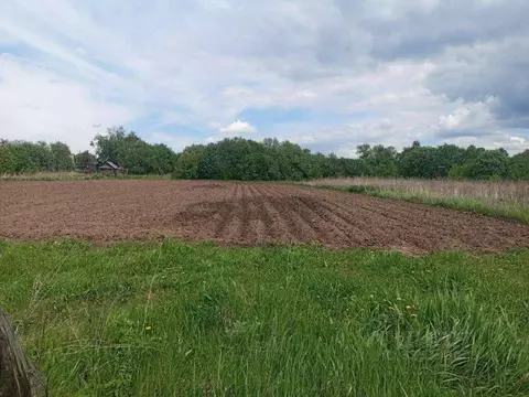 Участок в Рязанская область, Пителинский муниципальный округ, с. ...