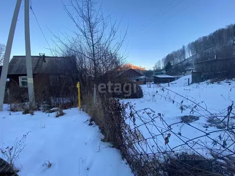 Дом в Алтай, Майминский район, с. Кызыл-Озек Береговая ул., 20 (24 м)