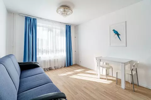 Студия Ярославская область, Ярославль просп. Фрунзе, 54Б (23.1 м)