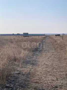 Участок в Крым, Раздольненский район, Славновское с/пос, Отдых СНТ  ...