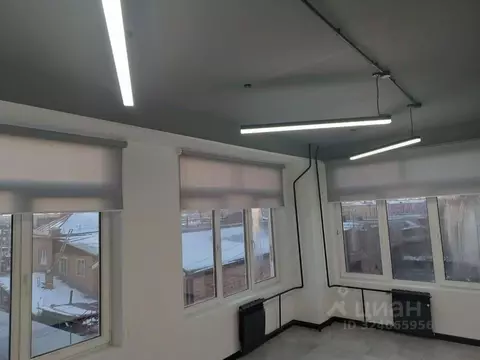 Помещение свободного назначения в Иркутская область, Иркутск ул. Софьи ...