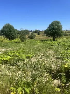 Участок в Московская область, Дмитровский муниципальный округ, ...