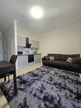 Студия Московская область, Красногорск ул. Липовой Рощи, 4к1 (27.0 м)