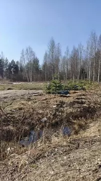 Дом в Ленинградская область, Всеволожский район, Рахьинское городское ...