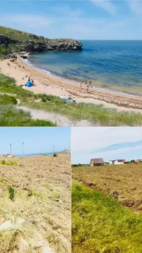 Участок в Крым, Ленинский район, Калиновское с/пос, Мрия СНТ ул. ...