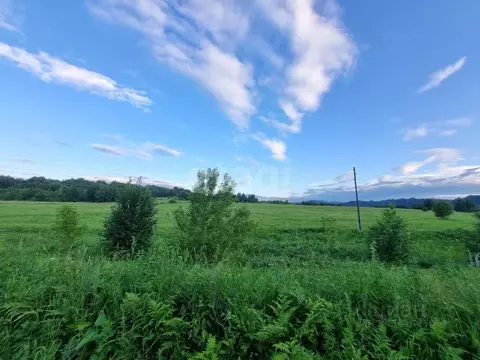 Участок в Алтай, Майминский район, Катунь СТ  (10.6 сот.)