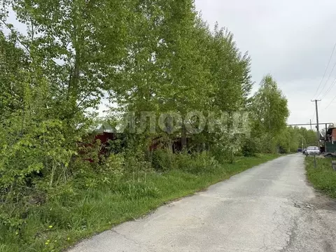 Участок в Новосибирская область, Новосибирский район, Станционный ...