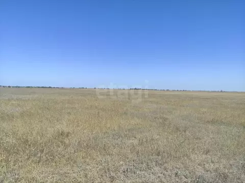 Участок в Крым, Раздольненский район, Кукушкинское с/пос, с. Кукушкино ...