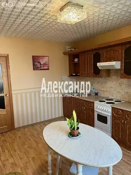 1-комнатная квартира: Сертолово, улица Молодцова, 7к3 (48.5 м)