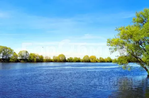 Участок в Московская область, Раменский муниципальный округ, д. Рыбаки ...