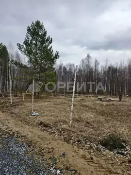 Участок в Тюменская область, Нижнетавдинский муниципальный округ, ...