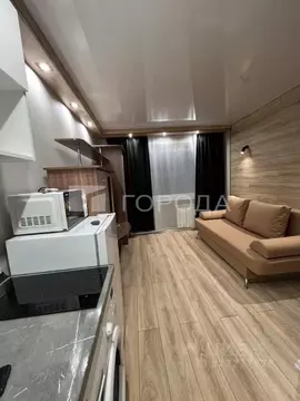 Студия Алтайский край, Барнаул проезд 9 Мая, 7А (13.0 м)