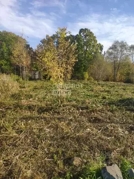 Участок в Приморский край, Надеждинский район, с. Вольно-Надеждинское ...