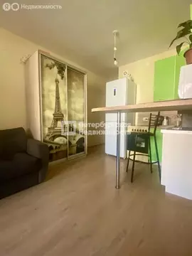 Квартира-студия: Санкт-Петербург, улица Лётчика Лихолетова, 14к2 (24.9 ...