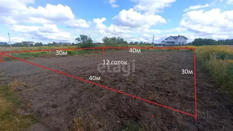 Участок в Брянская область, Брянский район, Новодарковичское с/пос, ...