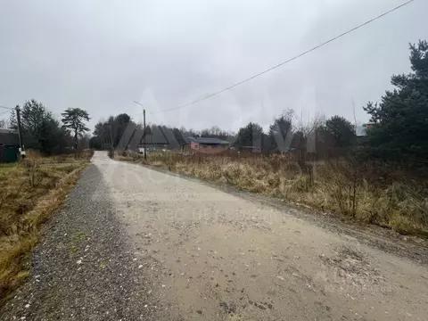 Участок в Ленинградская область, Приозерский район, Ларионовское ...