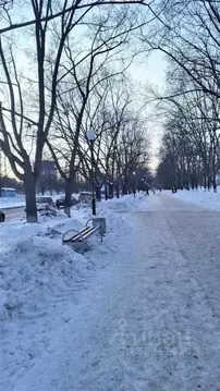 2-к кв. Самарская область, Тольятти просп. Степана Разина, 26 (43.4 м)